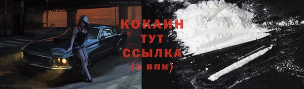круглые Вяземский