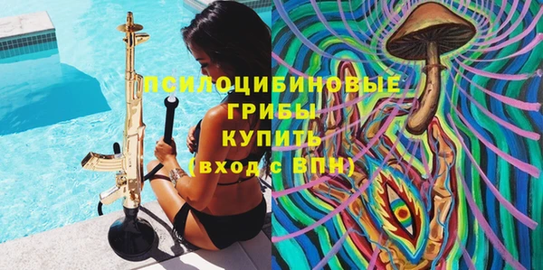 прущий лед Вязьма